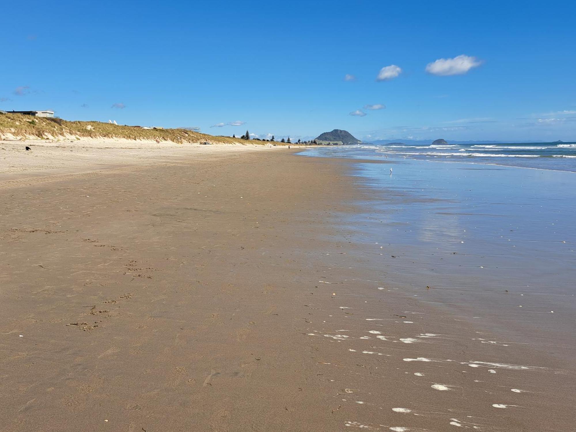 Sunbrae Beach Sands Y Маунт-Маунгануй Екстер'єр фото